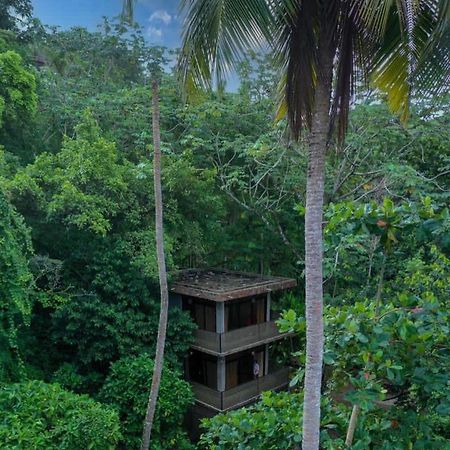 Taino Beach Lofts El Valle Bagian luar foto