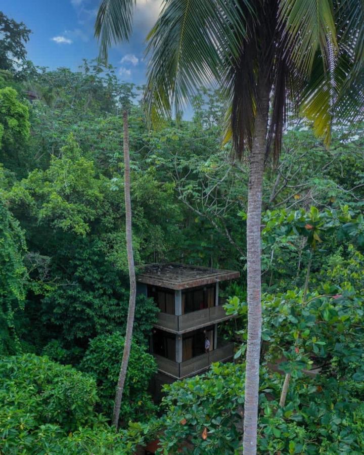 Taino Beach Lofts El Valle Bagian luar foto