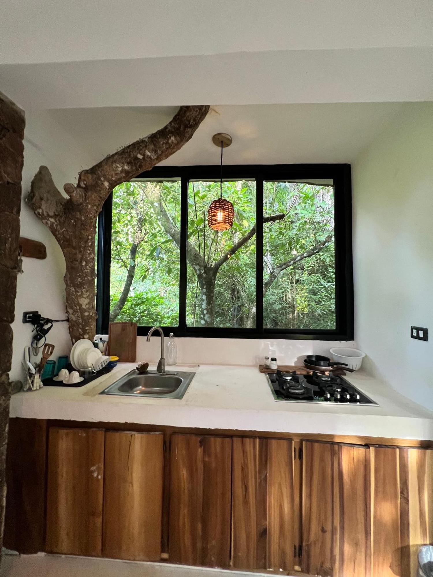 Taino Beach Lofts El Valle Bagian luar foto